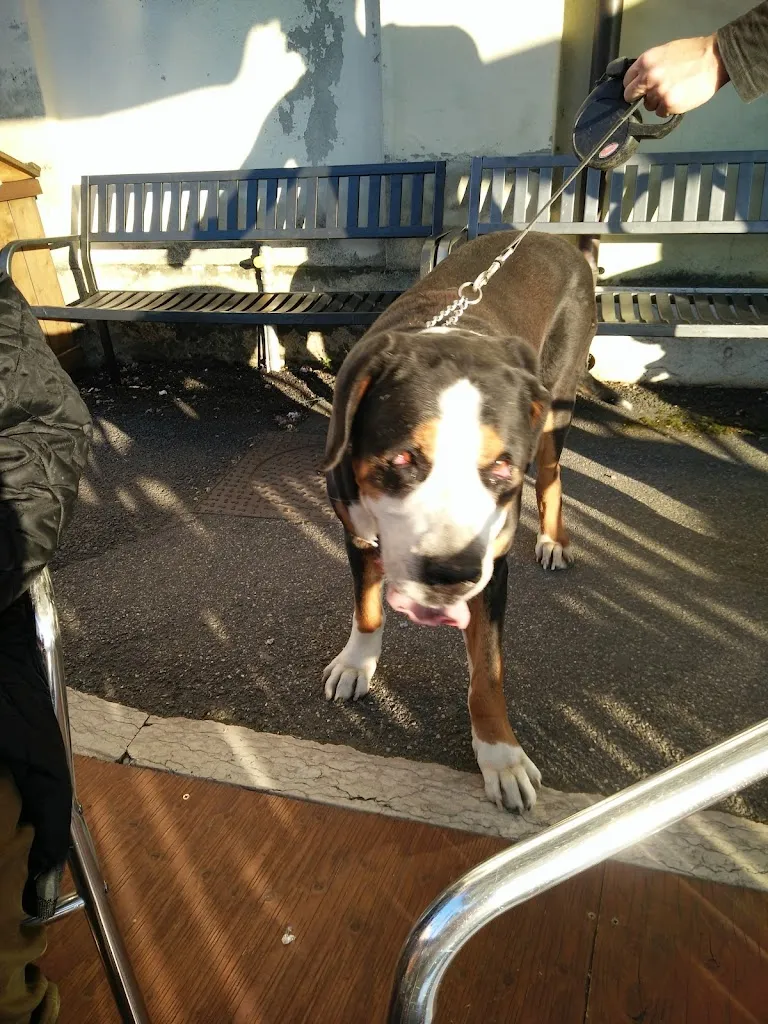 Gelateria Artigianale Delice_Sanguinetto_slider_image_2