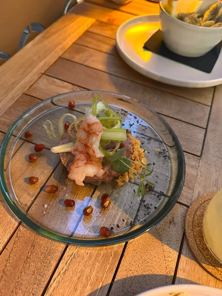 Francisco Borralho_Fico d’isola_Santa Maria Maddalena_review