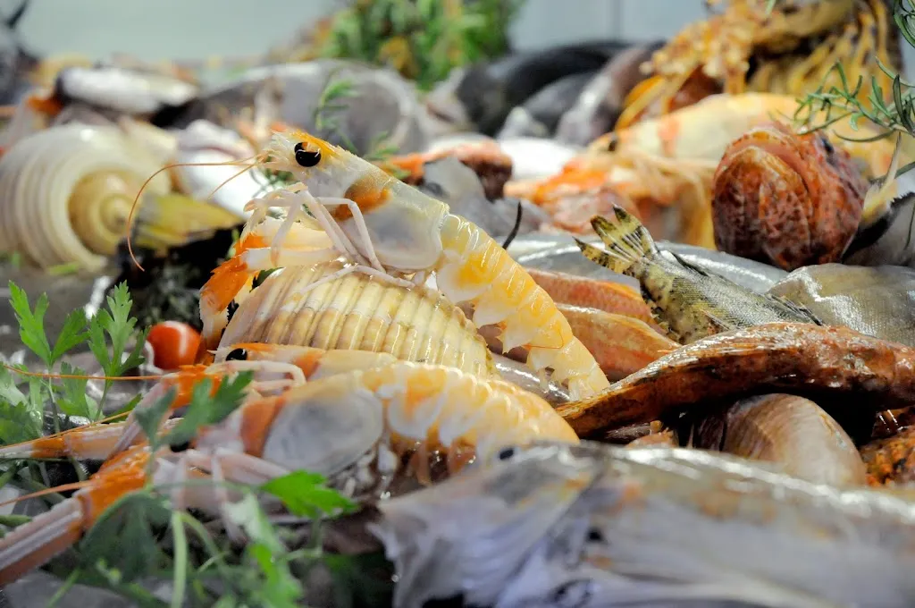 Lupo di Mare_Provincia di Barletta - Andria - Trani_slider_image_3