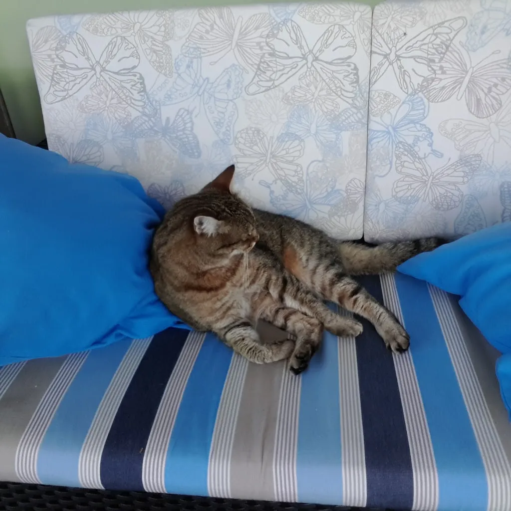 Andrea De Fusco_Pasticceria Gelateria La Briciola_Santa Giustina_Bewertung