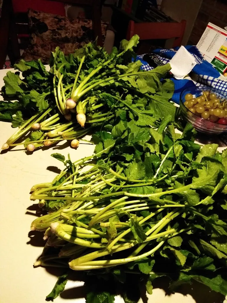 Menu_Ristorante Cikos_Santo Stefano-Bonaldo_image_3