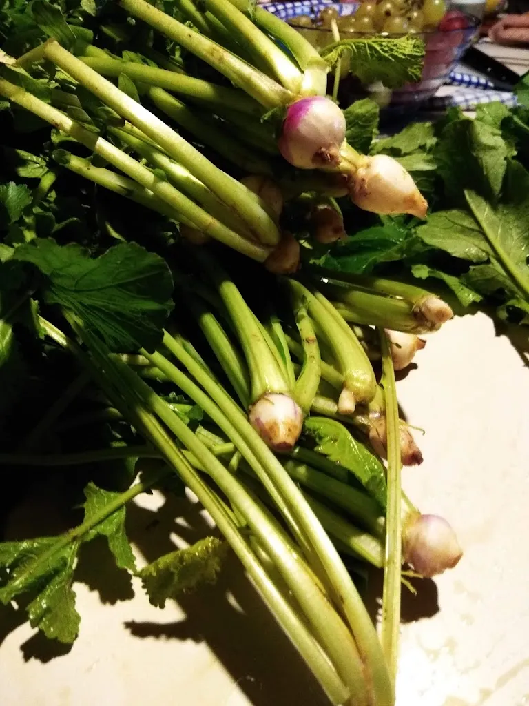 Menu_Ristorante Cikos_Santo Stefano-Bonaldo_image_4