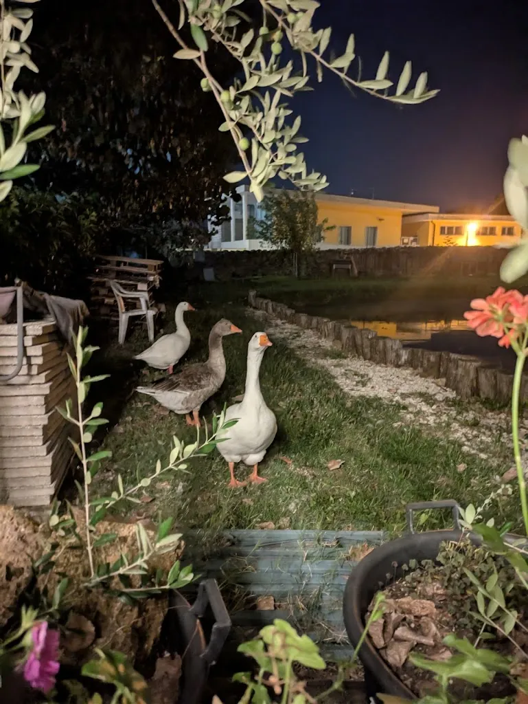 Hermann Rabot_BAR TRATTORIA AL BROLO PESCA SPORTIVA DA LUCA_Sarego_review