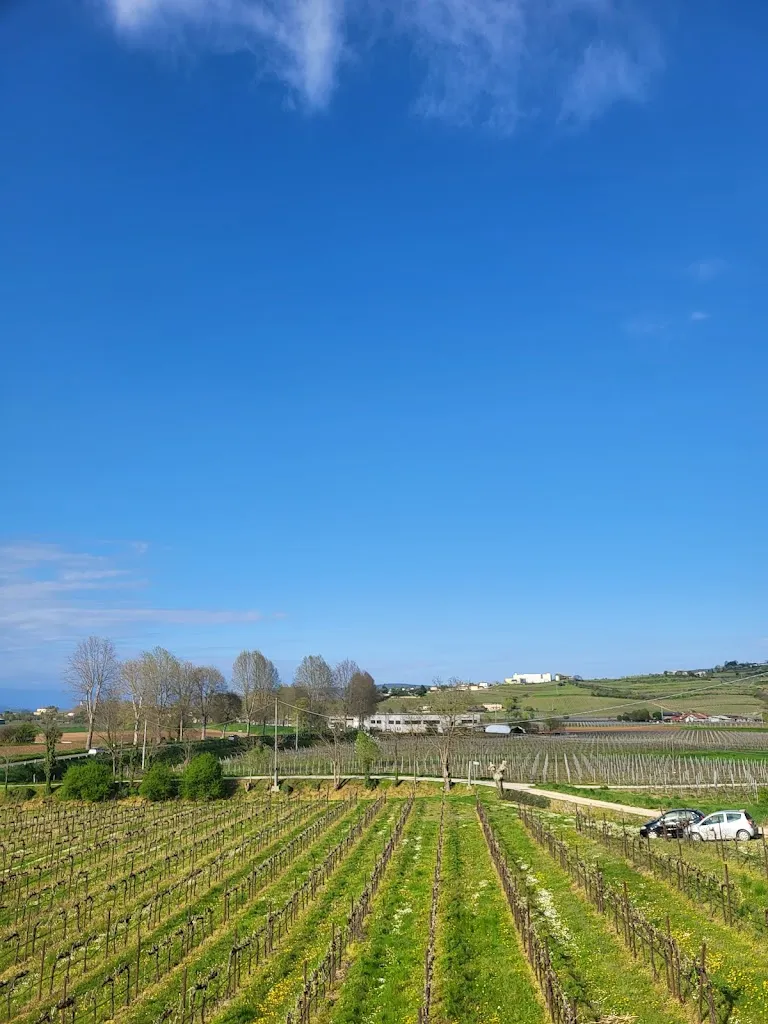 Roberta Gravina_Agriturismo La Luna Nel Pozzo_Sarego_review