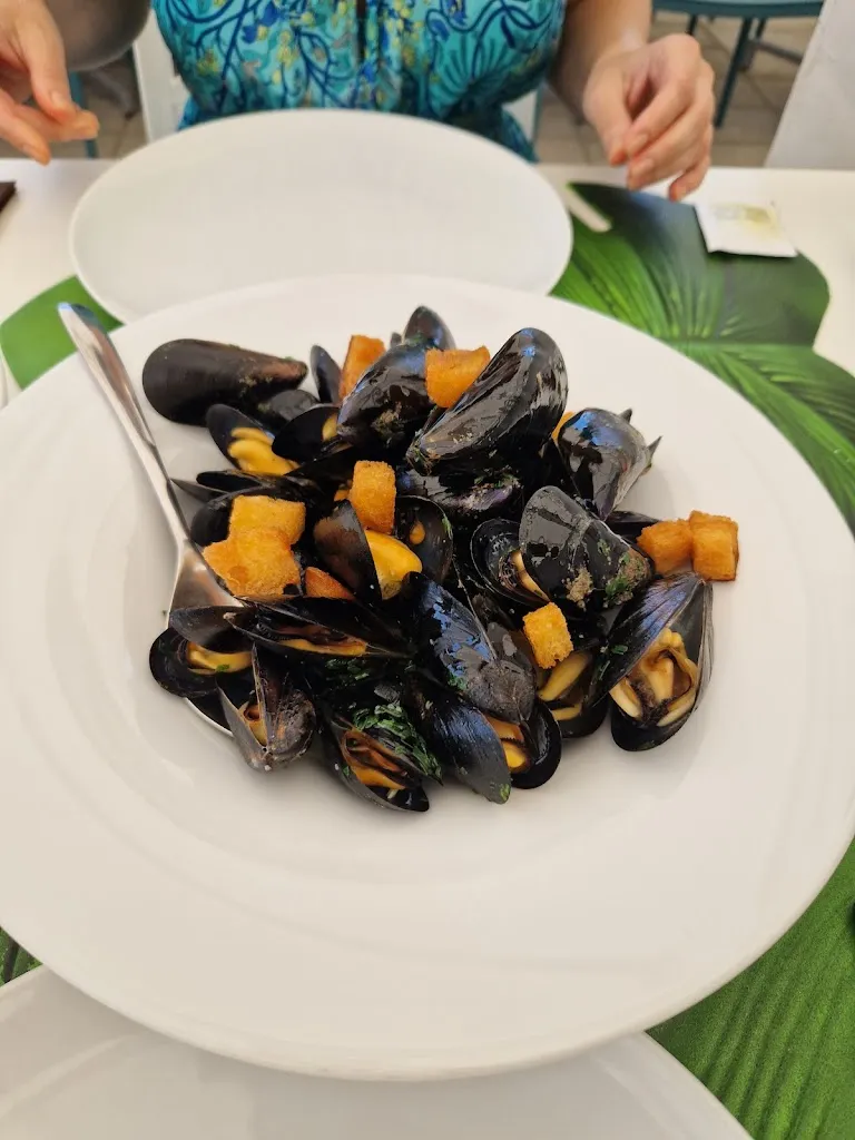 Florin B_Maadhoo-sapori e suoni_Provincia di Barletta - Andria - Trani_review