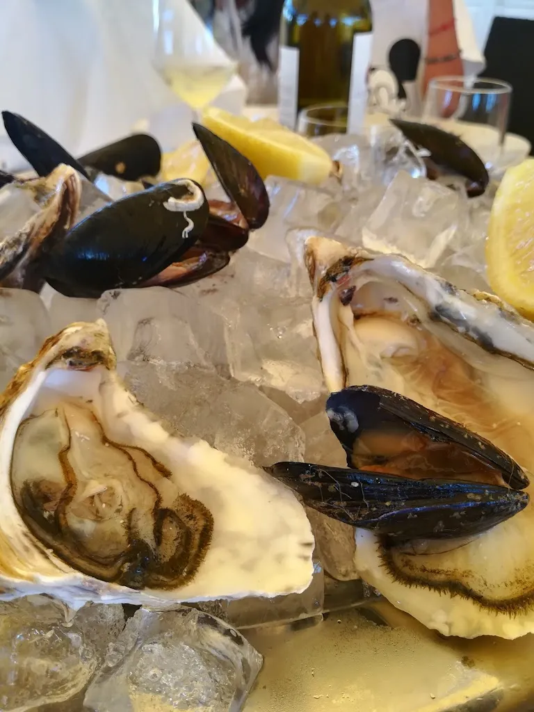 Menu_Kalos Beach_Provincia di Barletta - Andria - Trani_image_6