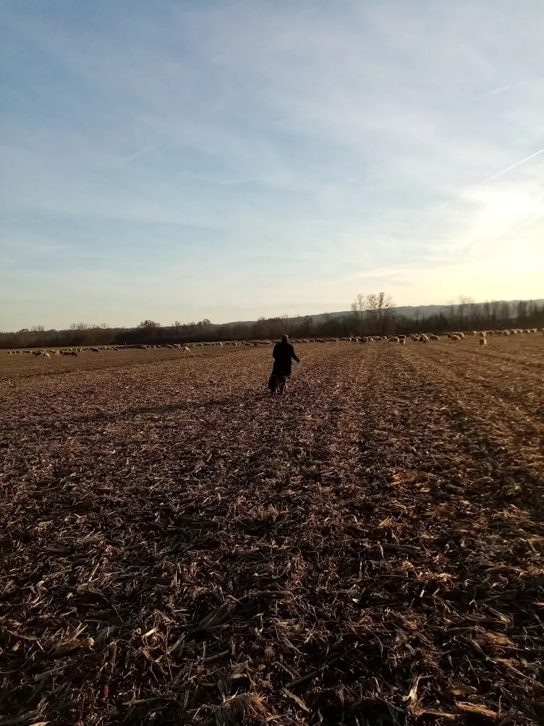 Ombre Rosse Bar Caffetteria_Sernaglia della Battaglia_slider_image_2