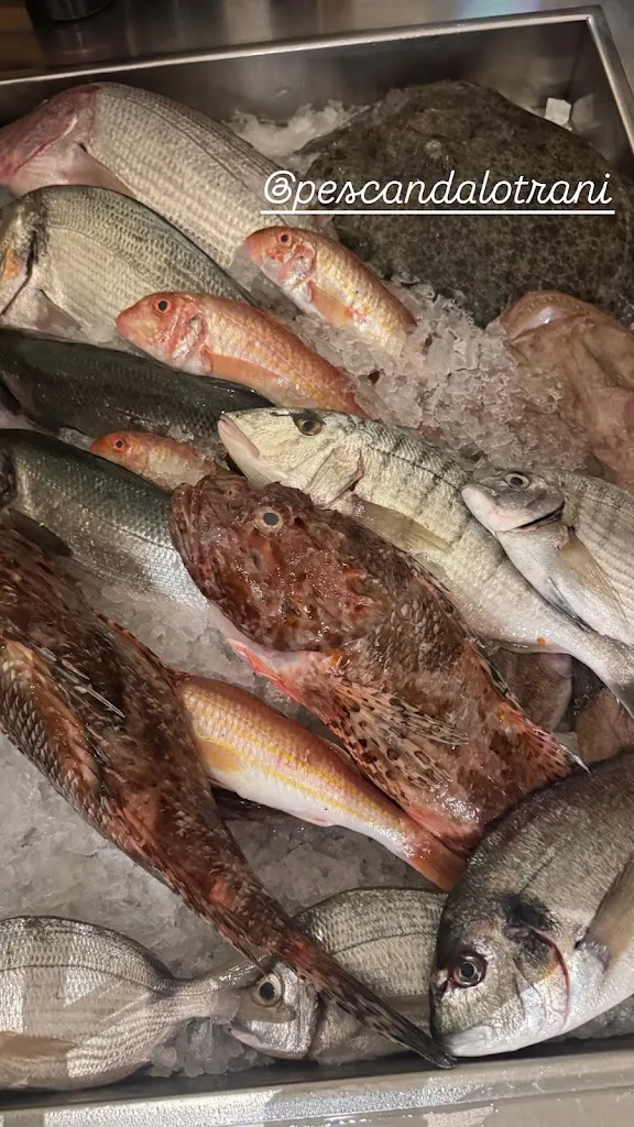 Julia Landenberger_Pescandalo_Provincia di Barletta - Andria - Trani_review