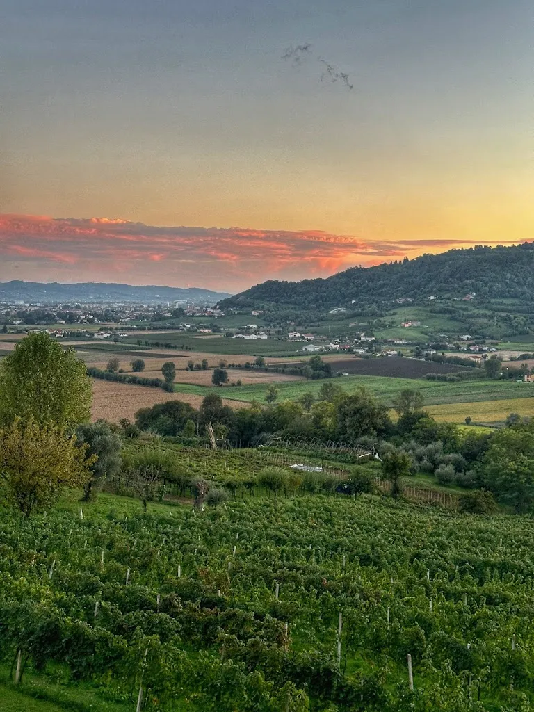 I P_Pizzeria Al Colle_Sovizzo_review