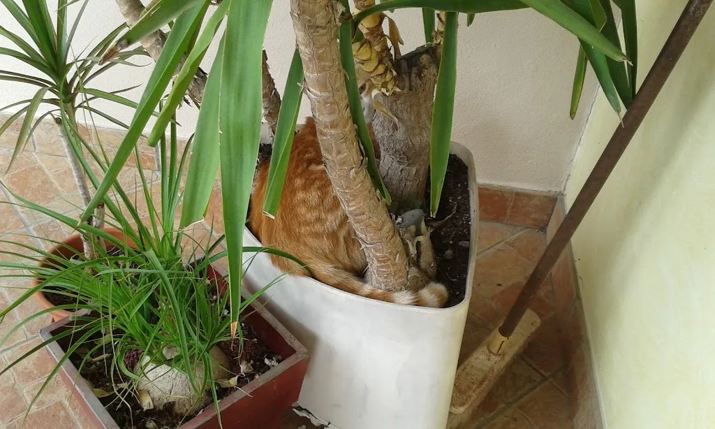 Osteria Pessati_Solesino_slider_image_2