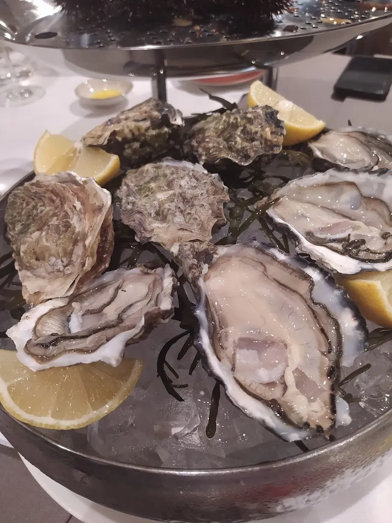 Menu_TERRADIMARE_Provincia di Barletta - Andria - Trani_image_4