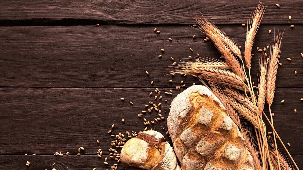 Menu_La Fornarina SNC di Borile Fausto e Cavaliere Paola_Solesino_image_1