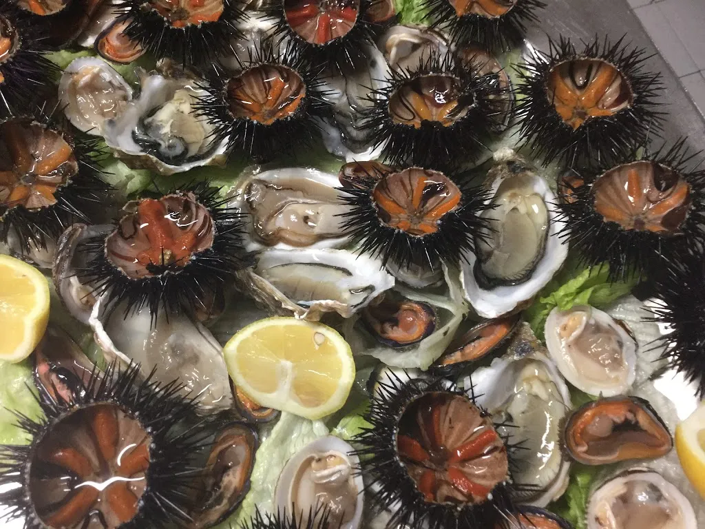 Ristorante Taverna Portanova_Provincia di Barletta - Andria - Trani_slider_image_3