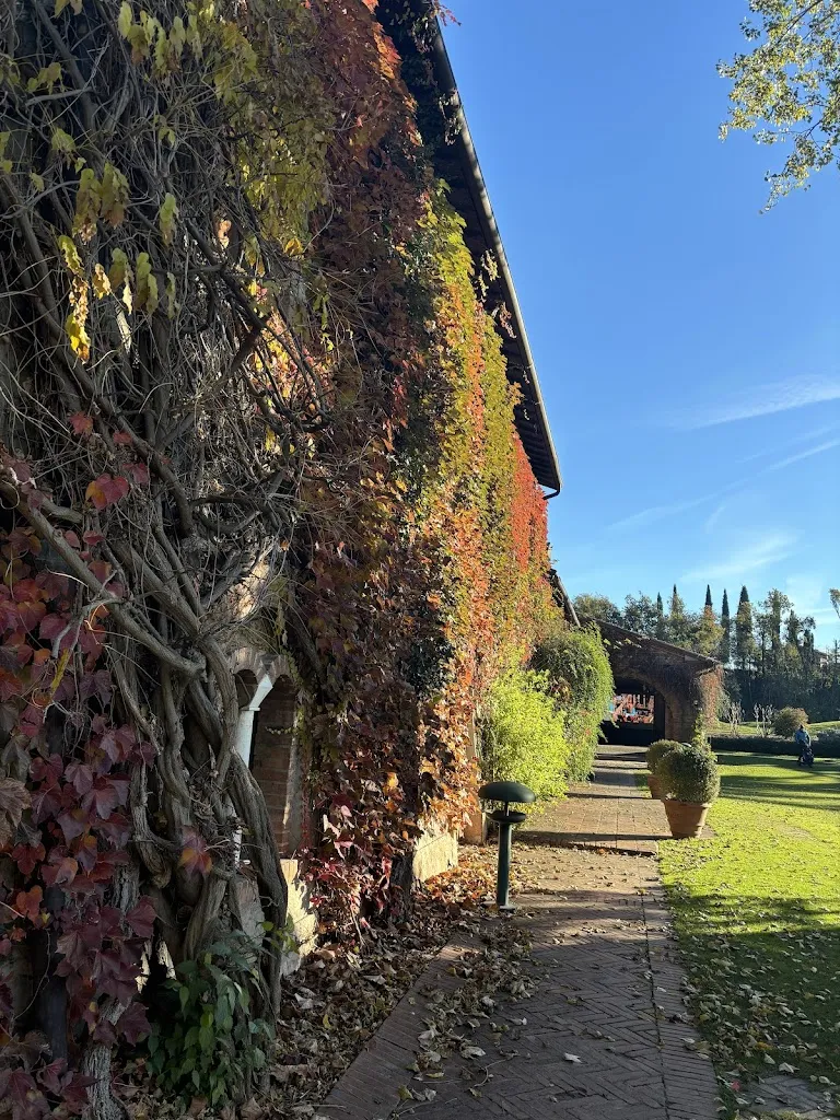 Ristorante Casa Molon_Sommacampagna_slider_image_2