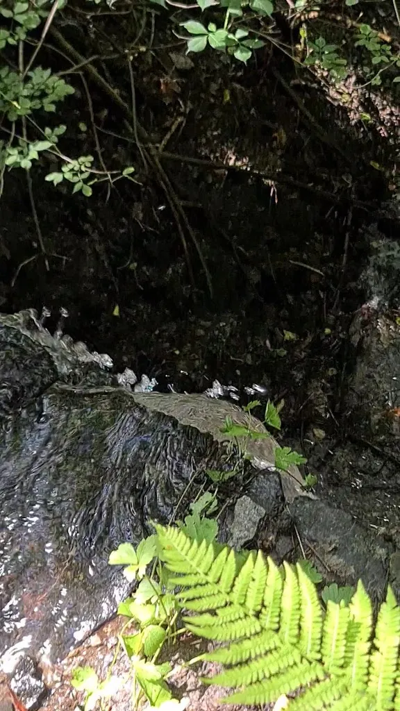 Agriturismo La Piana_Teglio Veneto_slider_image_2