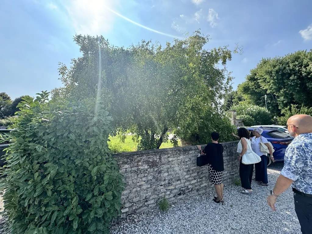 Black Panther_Ristorante Locanda GIOIA DI_Torre di Mosto_review