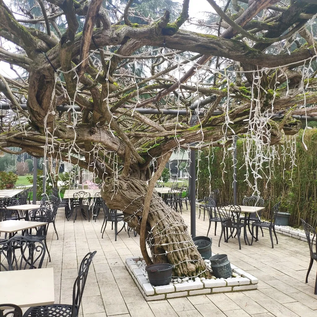 Antonio Montesano_Ristorante Antica Trattoria Taparo_Torreglia_recensione