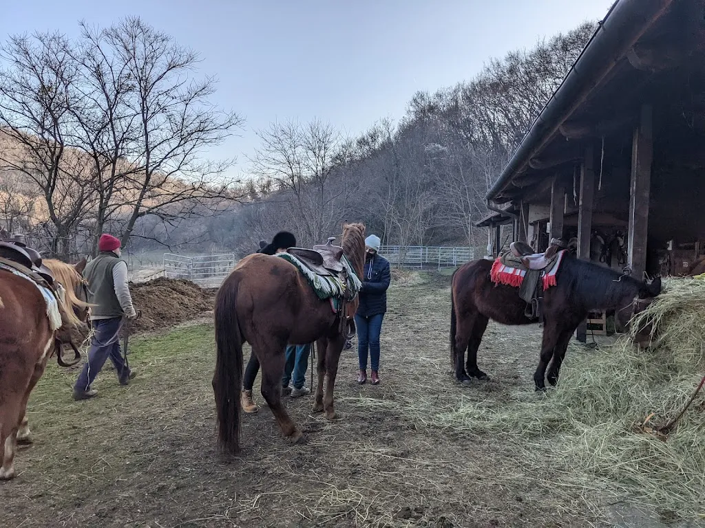 Le Torreselle Trotters restaurant in Torreselle