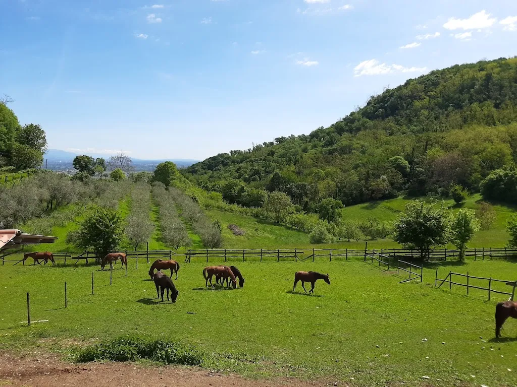 Le Torreselle Trotters_Torreselle_slider_image_3