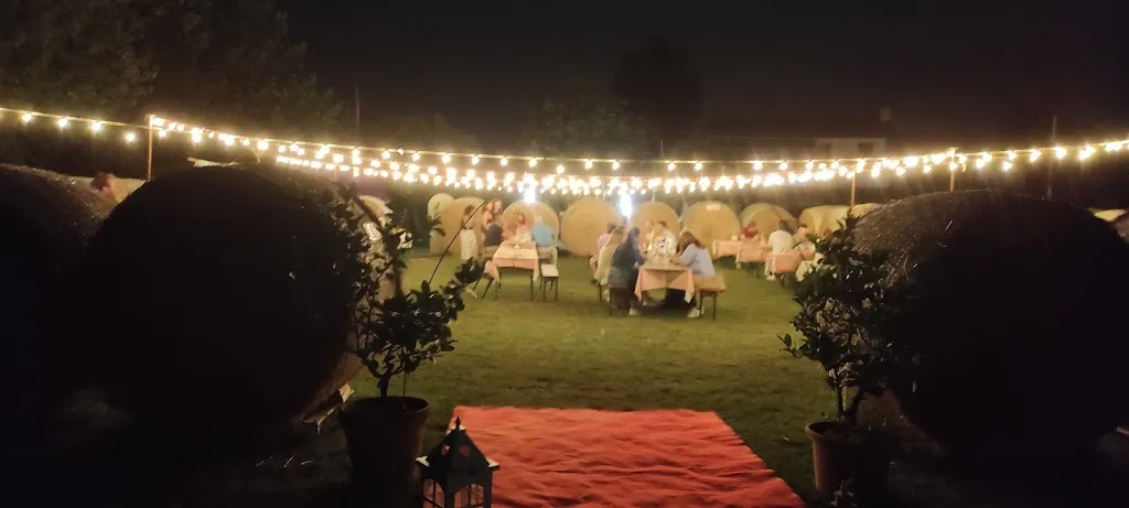 Nicola Cecchin_Ristorante ae tre spighe_Tremignon_review