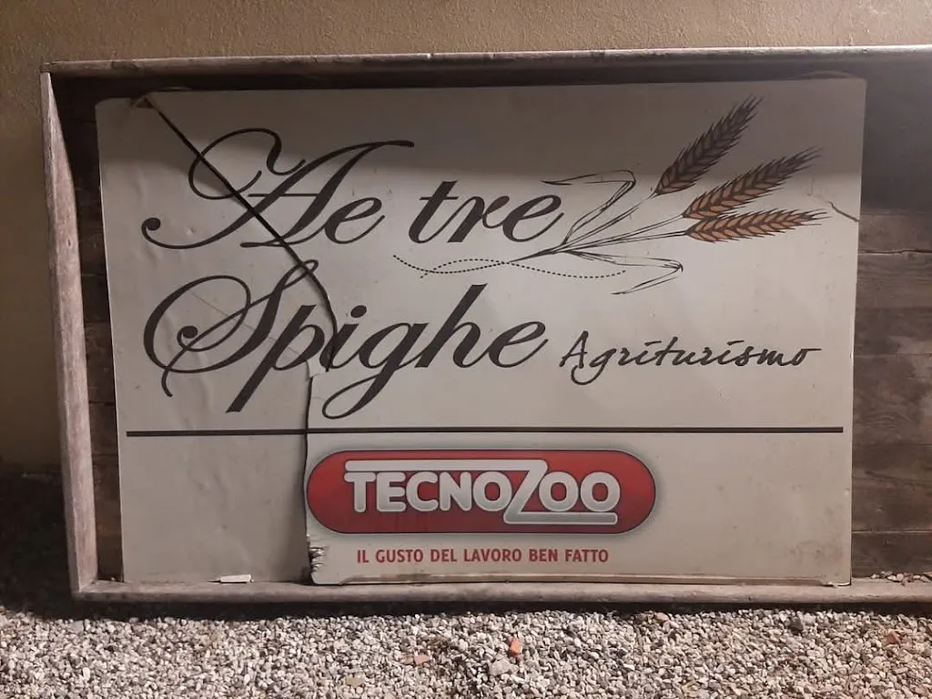 Cogito Ergo Sum_Ristorante ae tre spighe_Tremignon_review