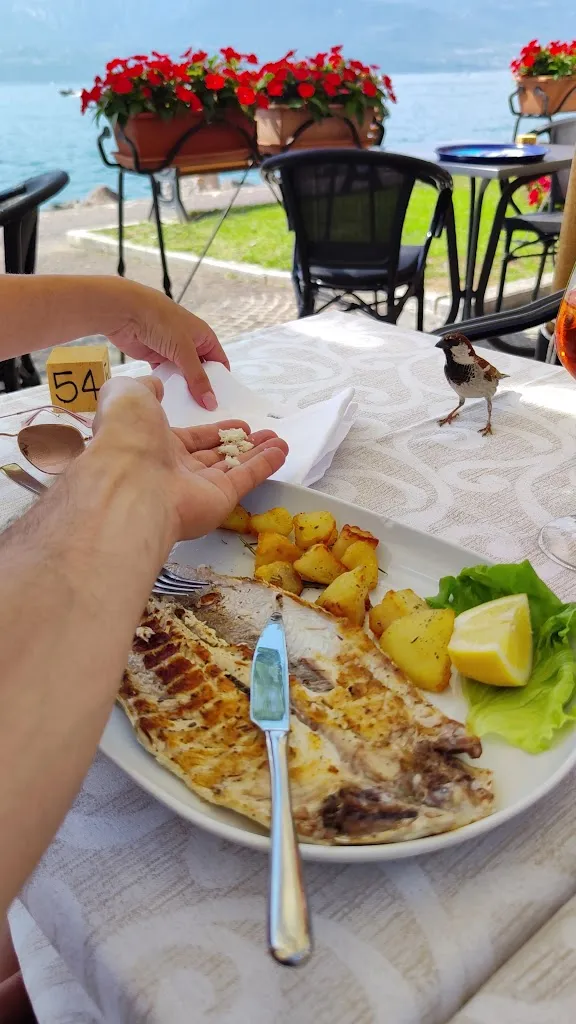 Ristorante Pizzeria Paradiso_Torri del Benaco_slider_image_2