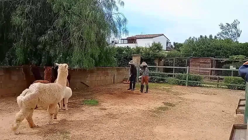 Roberta Corvaglia_La Fazenda_Ruffano_review