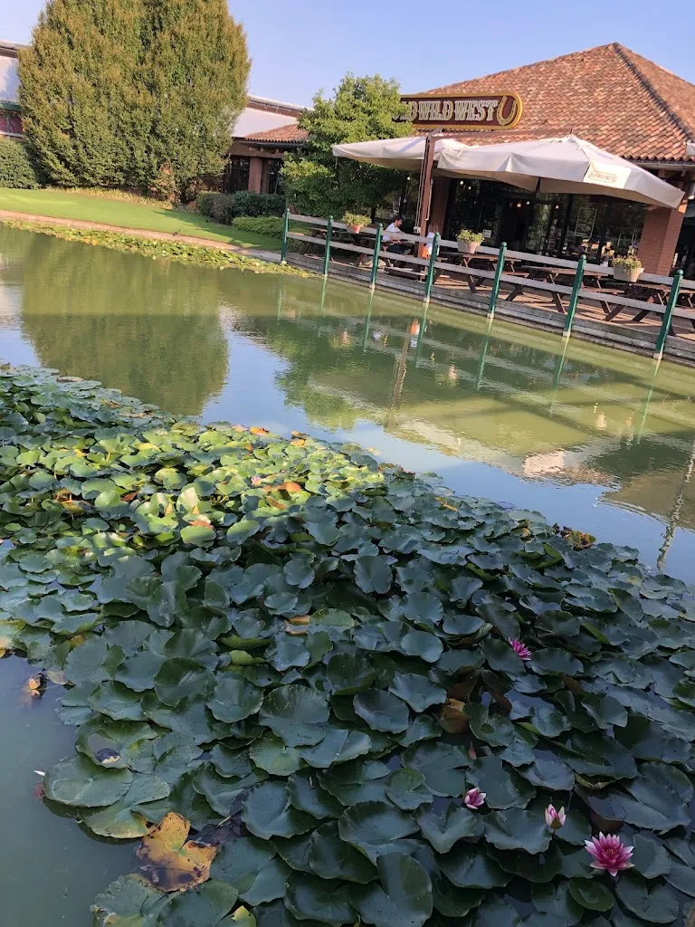 Julia Jackson _Old Wild West_Torri di Quartesolo_review