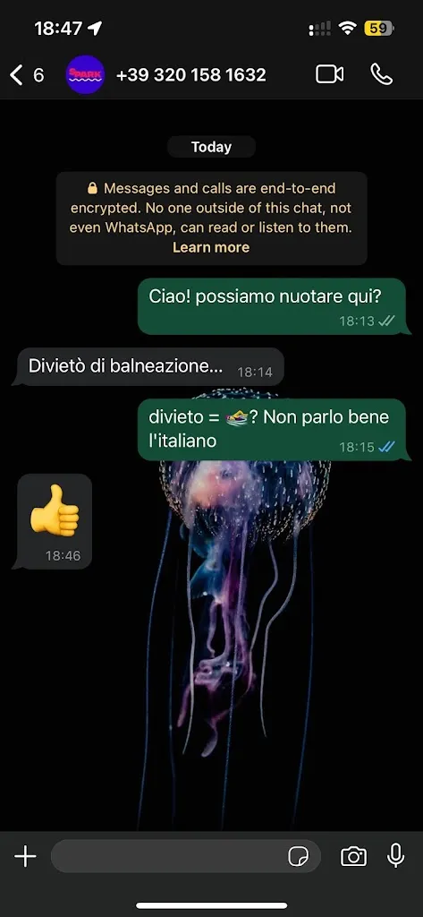 Zoë_Spark - Vicenza_Torri di Quartesolo_review