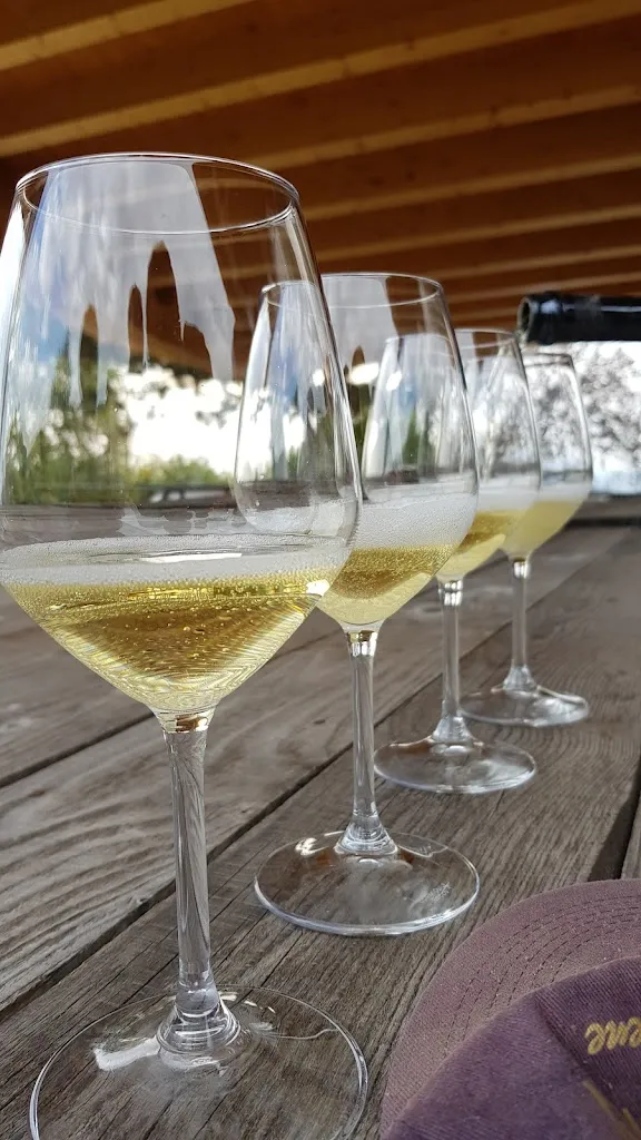 Menu_Osteria alla Terrazza_Valdobbiadene_image_6