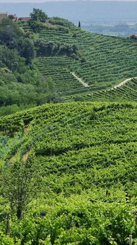 Osteria alla Terrazza_Valdobbiadene_slider_image_2
