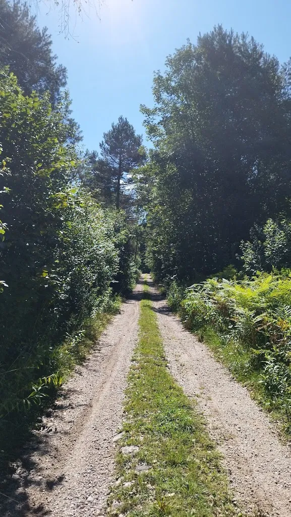 Ethel Cogliani_Sagra di Melere_Trichiana_review