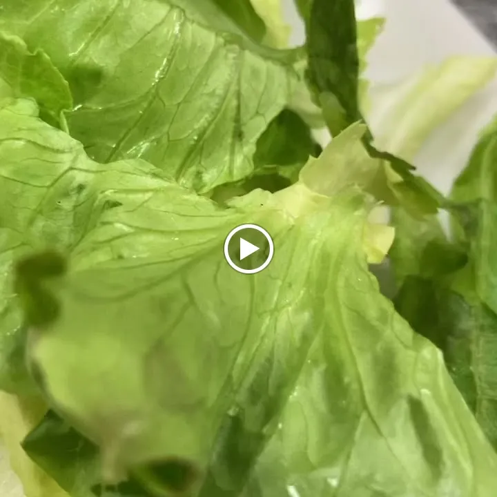 Lorenzi 1927_Valdagno_slider_image_2