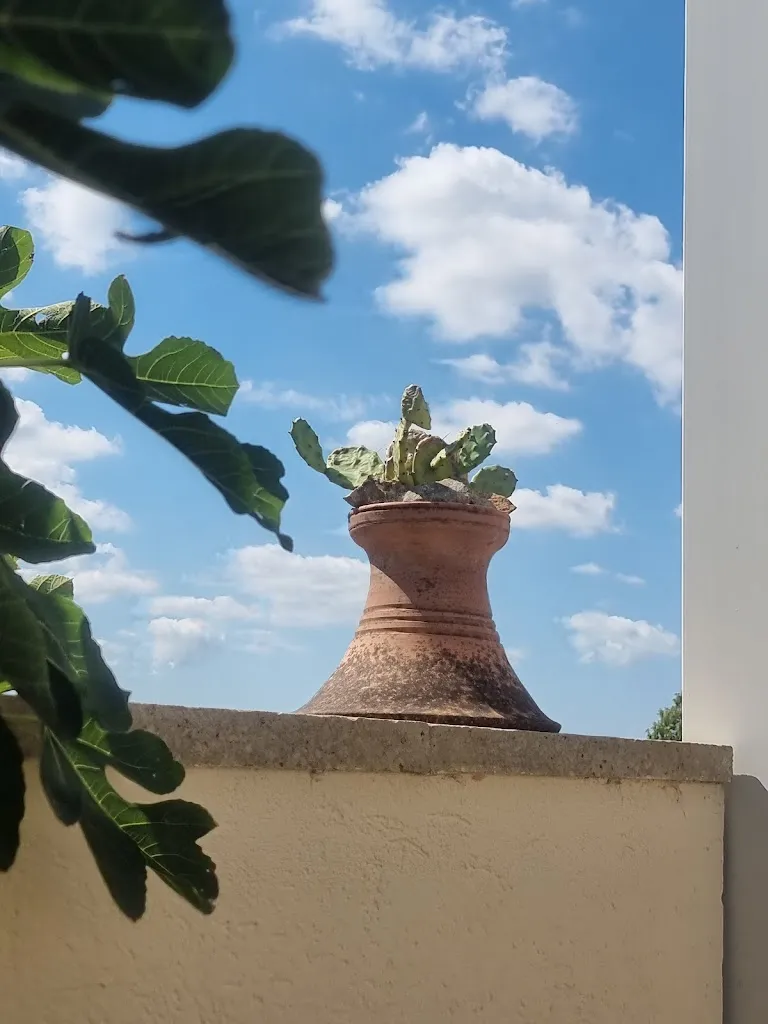 Claudio Passera_Agriturismo Spirdo_Ruffano_review