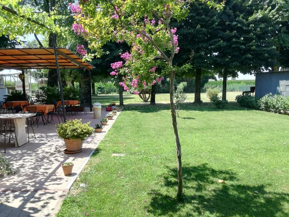 Ciono's Bar_Veronella_slider_image_3