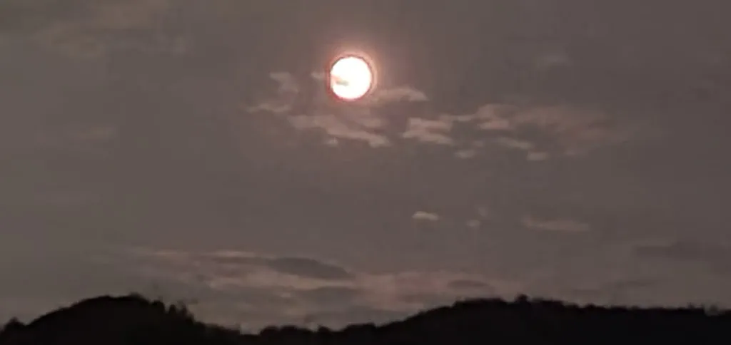 Paolo Panarotto_Ristorante Hotel Adele Di Camponogara Maria Eugenia & C. Sas_Vestenanova_review