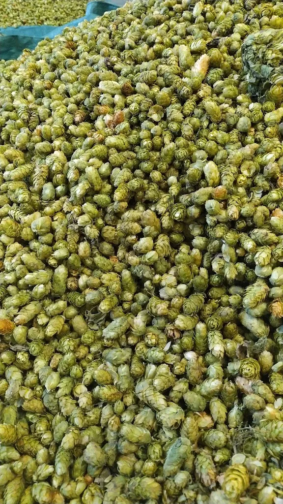 Menu_Luppoleto della Val d'Alpone_Vestenanova_image_6