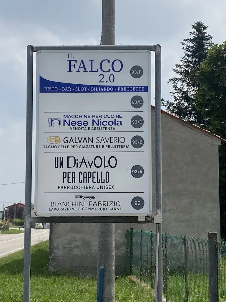 Falco 2.0_Villanova del Ghebbo Canton_slider_image_1