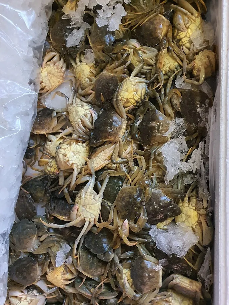 Ristorante BIRI 5497_Zelarino_slider_image_3