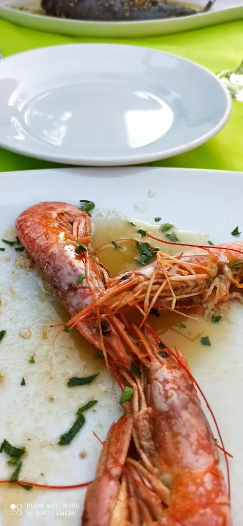 Menu_La Greppia_Rodi Garganico_image_7