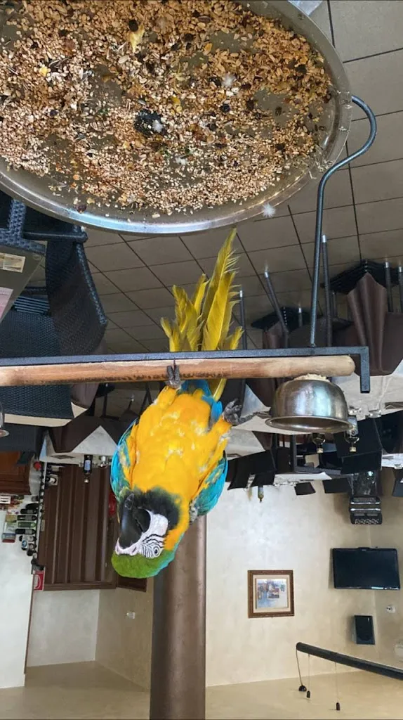 Samuele Zenti_Bar Trattoria Da Wendy Di Casagrande Wendy_Zevio_review