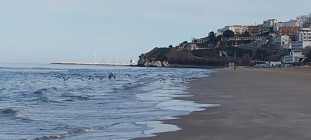 Gennaro A._Lido Ponente Rodi Garganico_Rodi Garganico_review