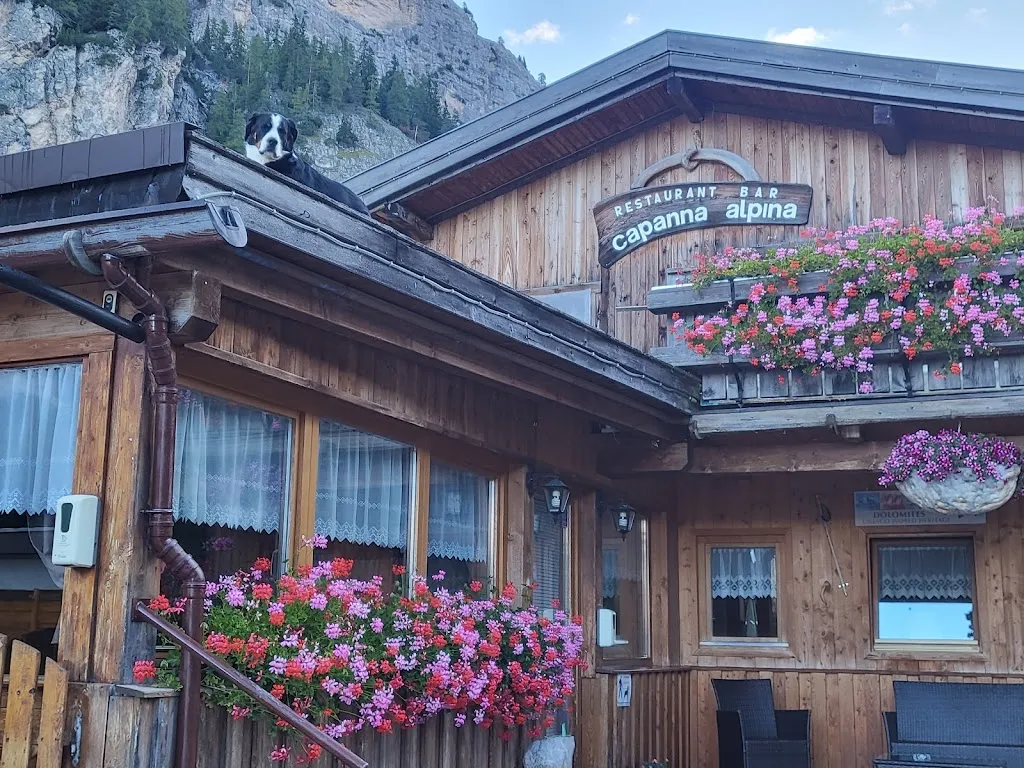 David Reds_Restaurant Capanna Alpina_San Cassiano_review