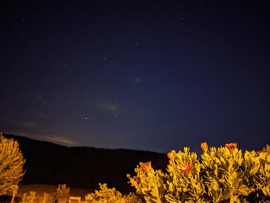 Paride Odierna_Agriturismo Coppa di Mezzo_San Marco in Lamis_review