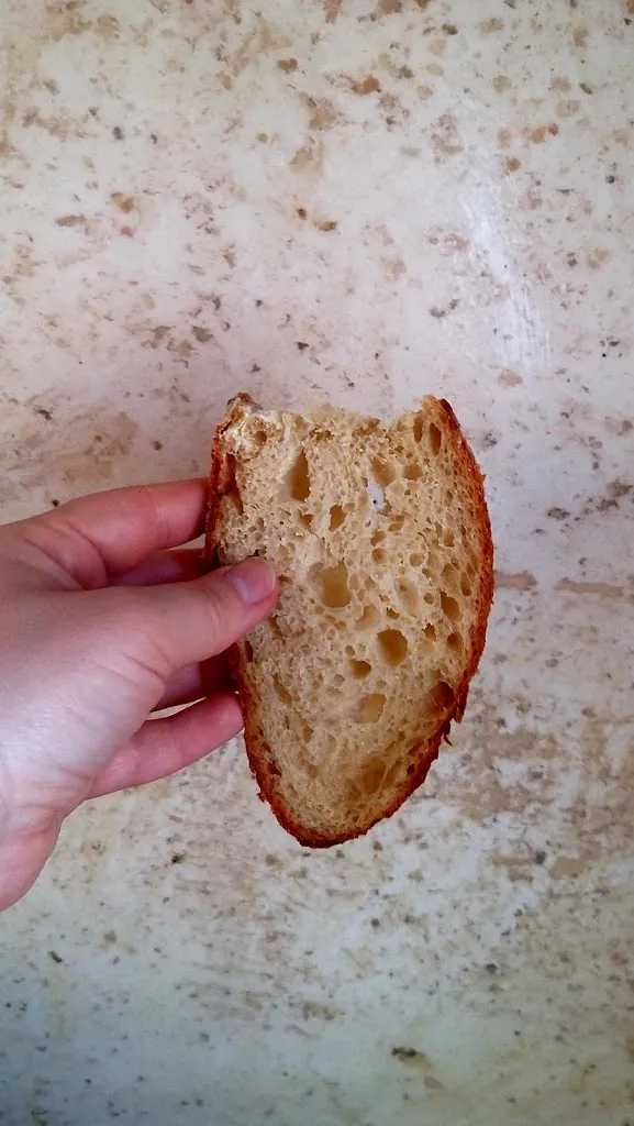 rita guglielmi_Fulgaro Panificatori 1890_San Marco in Lamis_review