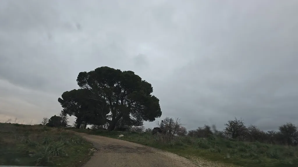 Valentina Michieletto_Tenuta COPPA di Ruvo di Puglia_Ruvo di Puglia_review