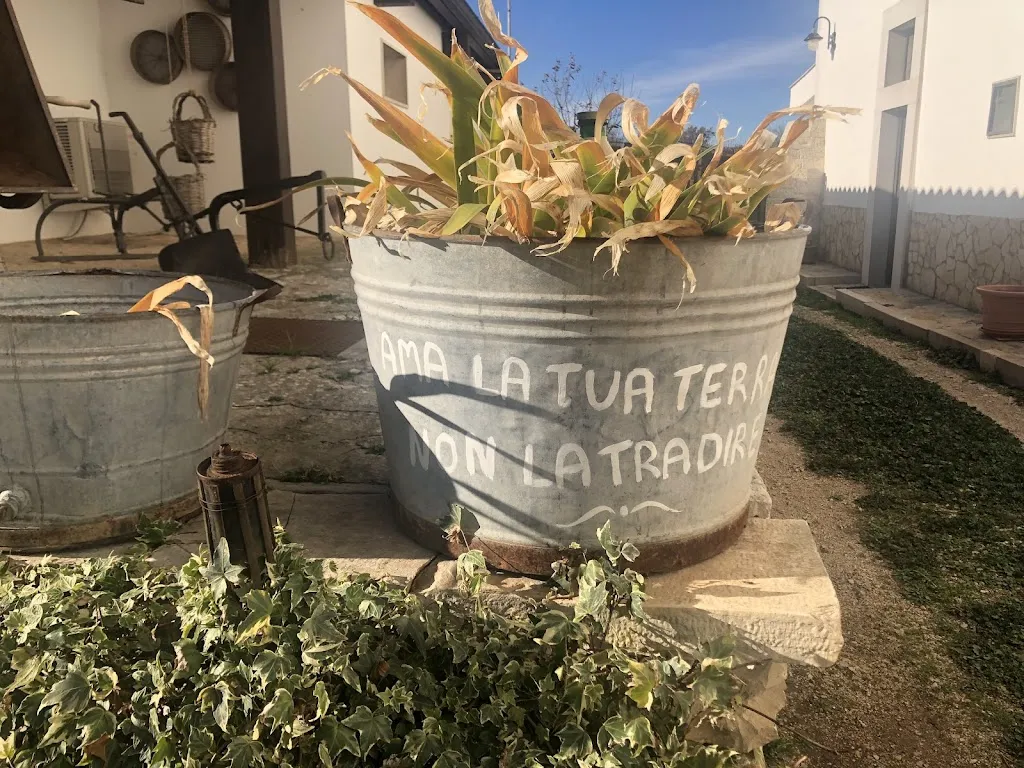 Fedez_Tenuta COPPA di Ruvo di Puglia_Ruvo di Puglia_review