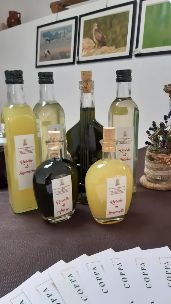 Tenuta COPPA di Ruvo di Puglia_Ruvo di Puglia_slider_image_3