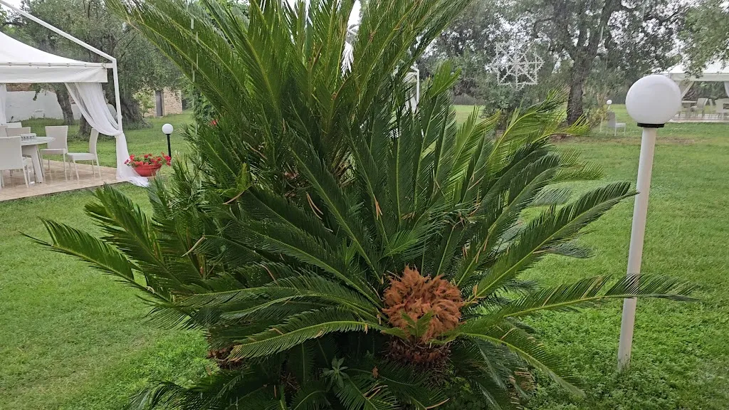 Tenuta Torre Del Monte_Ruvo di Puglia_slider_image_2