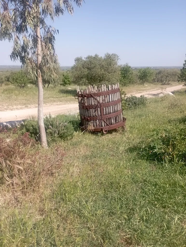 Angela_Zona Rurale 310/A occhio mininno agriturismo_Ruvo di Puglia_review